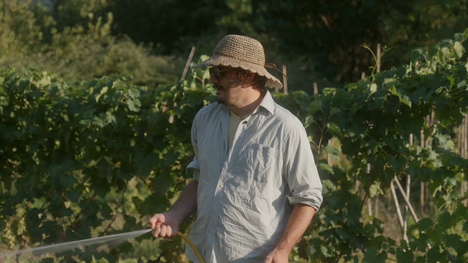 Kadar iz dokumentarnog pilota Sjene Poljica, čovjek u vinogradu